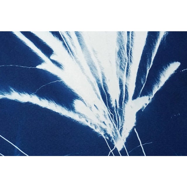 2020s 2020 "Sparkling Firework Burst" Contemporary Cyanotype by Kind of Cyan For Sale - Image 5 of 12