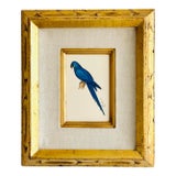 Original Hand-Painted Blue Parrot Bird Painting in a Vintage Frame For Sale