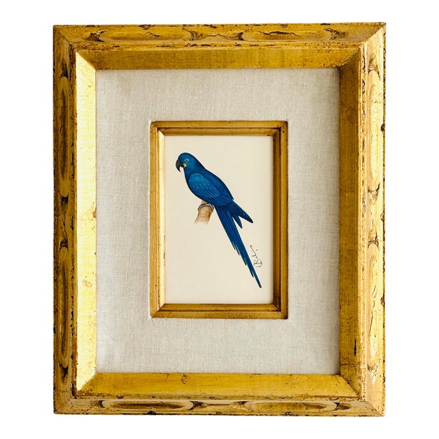 Original Hand-Painted Blue Parrot Bird Painting in a Vintage Frame For Sale