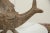 Metal Vintage African Bronze Fish For Sale - Image 7 of 8