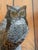 Late 20th Century Late 20th Century Reverse Painting on Glass of Great Horned Owl on a Pine Branch For Sale - Image 5 of 6