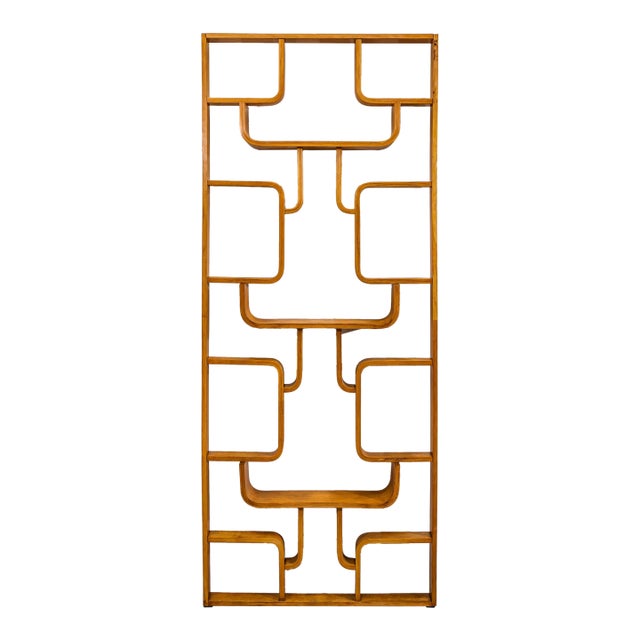 Mid-Century Room Divider by Ludvík Volák for Dřevopodnik Holešov, Czech Republic, 1950s For Sale