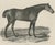 Maxim Gauci, Sharke Thoroughbred Horse Portrait, Lithograph, 1840 For Sale - Image 3 of 9