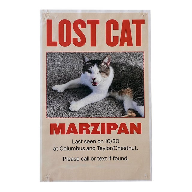 21st Century "Lost Marzipan" Outsider Street Pop Art of San Francisco For Sale