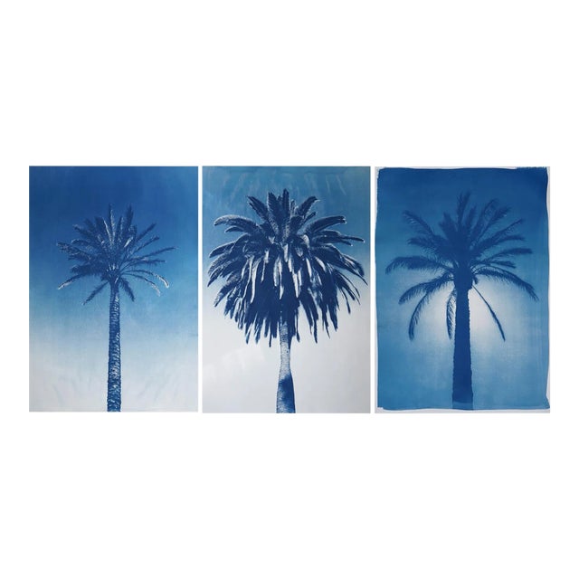 "Desert Palm Trio" Hand Painted Cyanotype Triptych on Watercolor Paper - Set of 3 For Sale
