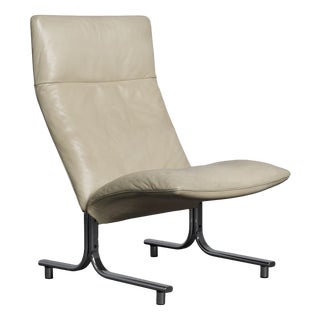 DS-2030 Lounge Chair in Leather by Hans Eichenberger for de Sede, Switzerland, 1970s For Sale