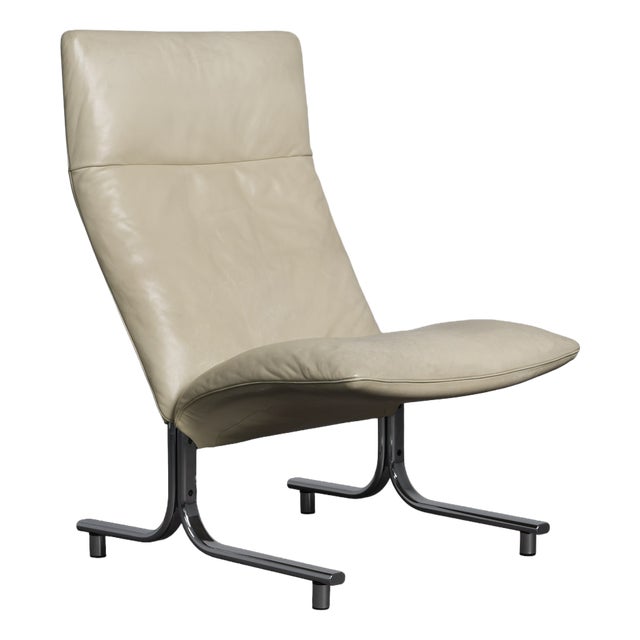 DS-2030 Lounge Chair in Leather by Hans Eichenberger for de Sede, Switzerland, 1970s For Sale