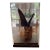 Birdwing Butterfly in a Display Case on Wood. Triedes Brookiana. For Sale