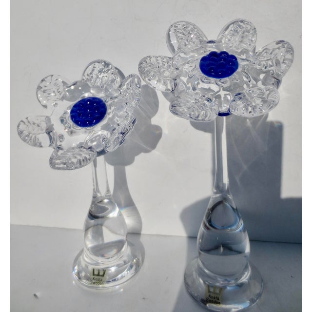 Kosta Boda Rolf Sinnemark for Kosta Glass Glass Flowers - a Pair of 2 For Sale - Image 4 of 6
