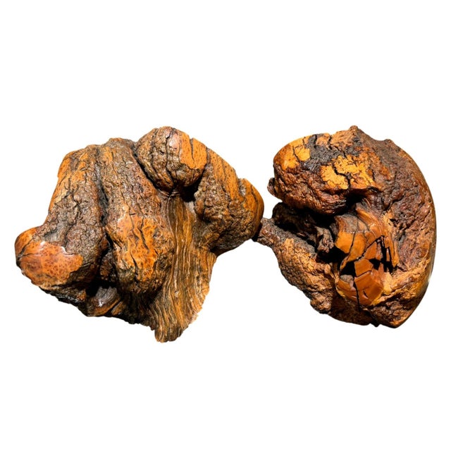 Vintage Burl Wood Bookends Pair Live Edge Organic Modern Rustic MCM Heavy For Sale - Image 9 of 10