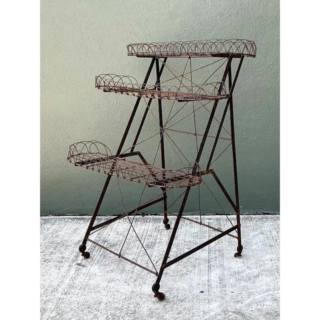Vintage Three-Tier Wire Plant Stand For Sale In West Palm - Image 6 of 12