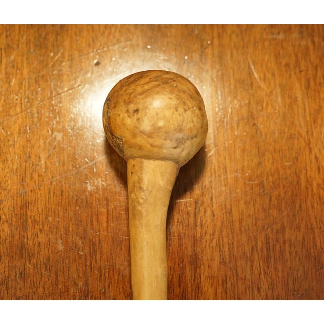 Antique Irish Knobkerrie Stick For Sale - Image 14 of 18