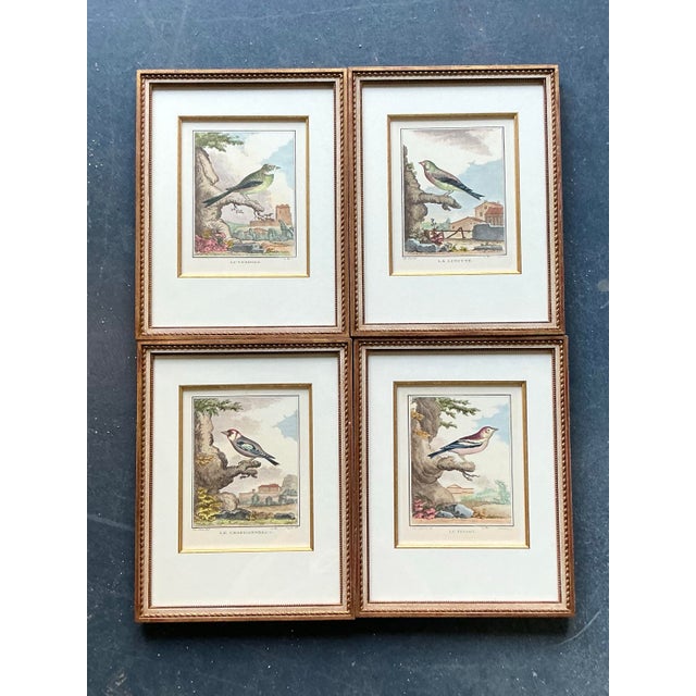 White Vintage Regency Bird Prints - Set of 4 For Sale - Image 8 of 10
