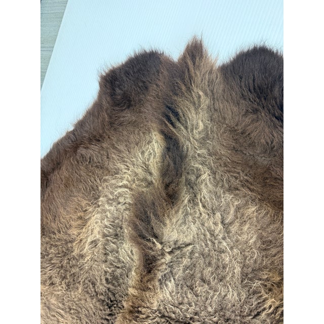Animal Skin 6ft 8in × 8ft Buffalo Pelt, Winter Woolly For Sale - Image 7 of 12