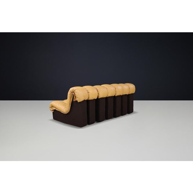 Wood DS-600 Snake Sectional Sofa in Tan Leather attributed to Ueli Berger for de Sede, 1972, Set of 7 For Sale - Image 7 of 14