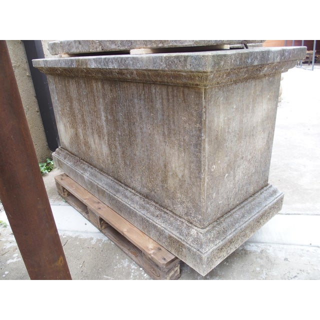 The Lions of Florence, Monumental Pair of Italian Carved Limestone Medici Lions For Sale - Image 12 of 12