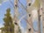 2010s Spring Finally by Stephen Day | Oil on Panel Landscape with birch trees and green foliage For Sale - Image 5 of 5