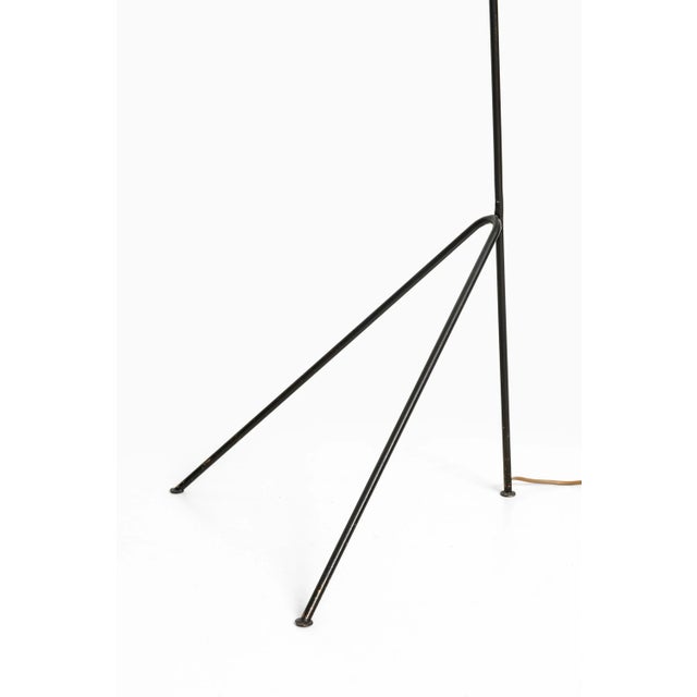 Swedish Floor Lamp, 1950s For Sale - Image 3 of 8