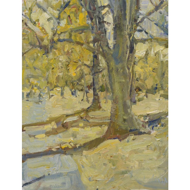 This oil painting captures a serene moment in Cheesman Park, showcasing the intricate interplay of light and shadow...