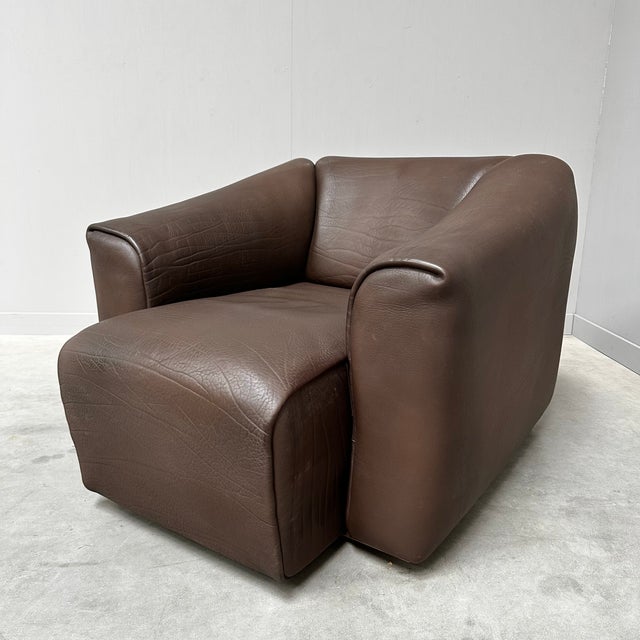 1990s Set of DS-47 Lounge Chair and Ottoman in Buffalo Leather from de Sede, Switzerland, 1990s For Sale - Image 5 of 9