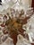 Vintage Italian Murano Style Sputnik Chandelier in the Manner of Paolo Venini "Espirit", 28 Glass Florets For Sale - Image 13 of 18