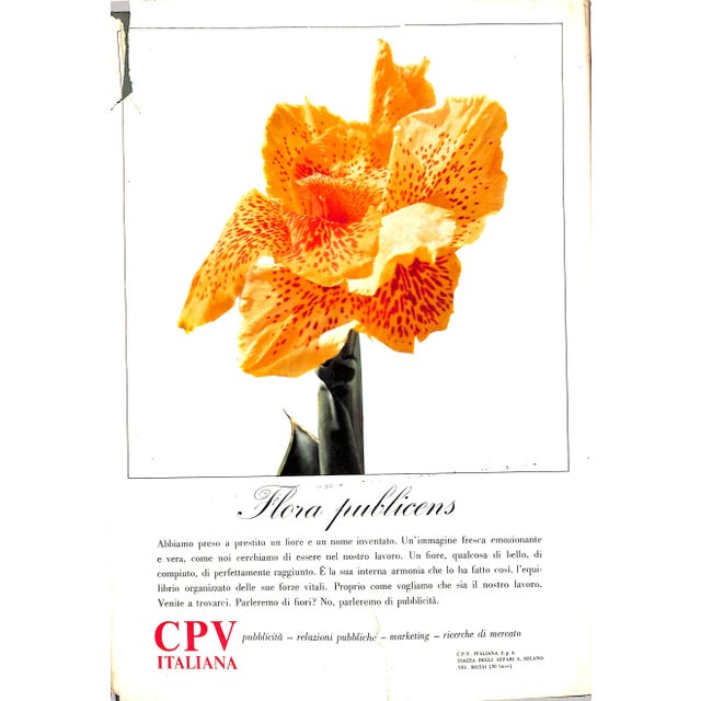 Pubblicita in Italia: 1963-1964 For Sale - Image 12 of 12