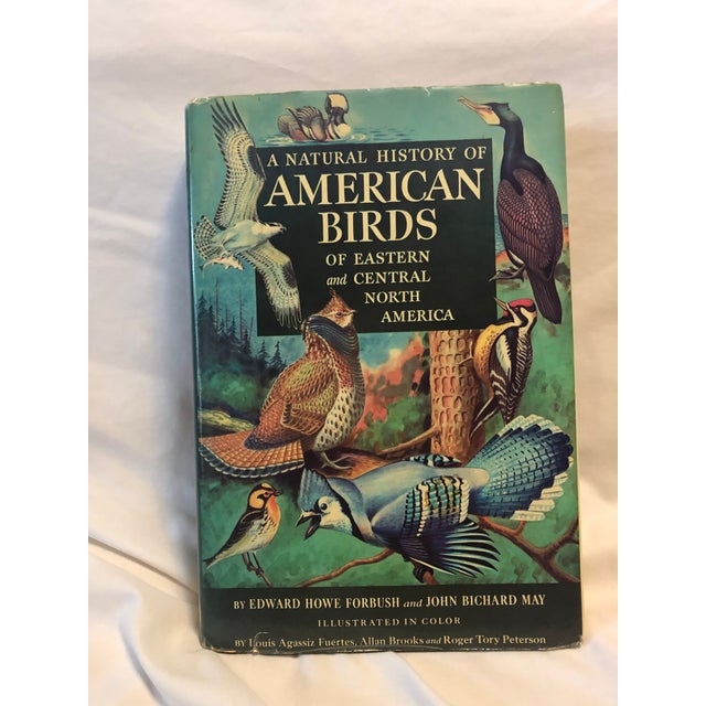 Natural History of American Birds of Eastern & Central America Book For Sale - Image 11 of 11