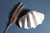 Natural Tridacna Giant Clam Shell - Large seashell bowl - shell decor For Sale - Image 9 of 10