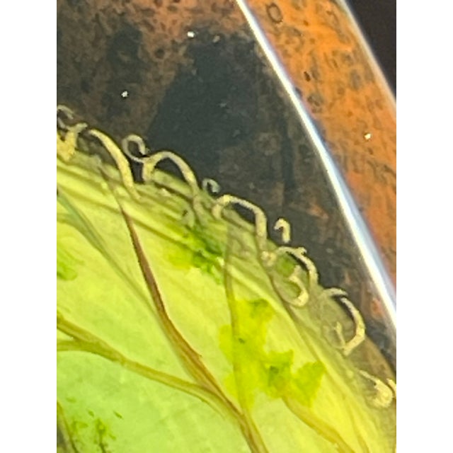 Fedoskino Russian Lacquer Box a Shchetinina Signed Hunter Dog Art Mint Vintage For Sale - Image 9 of 12