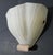 1960s Murano Shell Sconce With Pink Curl For Sale - Image 4 of 9