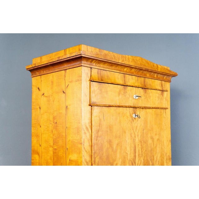 Biedermeier Birch & Elm Secretary For Sale - Image 9 of 18