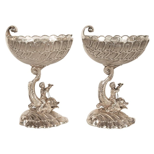 Silver Antique Pair German Silver Master Salts Grotto Shells Putti Dolphins Hannau 1890 For Sale - Image 8 of 17