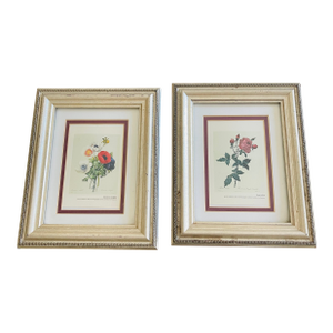 P.J.Redoute Pair Floral Chromolithographs Framed Reproduction
