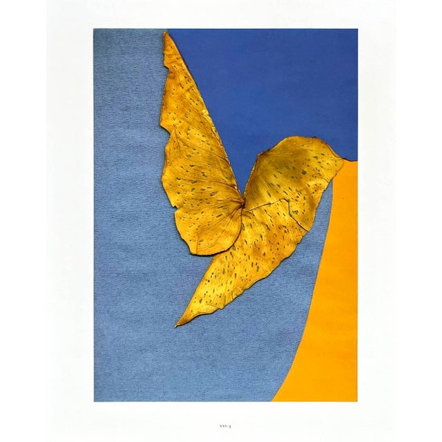 Artist: Josef Albers Country: Germany-USA Title: Plate XXV-4 Paper Size: 13.50 x 10.50 inches on Munken Print Cream...