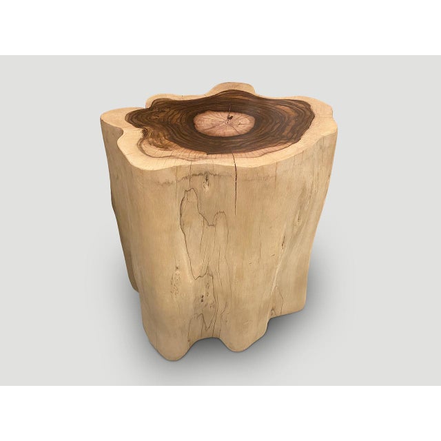 Brown Andrianna Shamaris Rare Sono Wood Oversized Side Table or Pedestal For Sale - Image 8 of 18