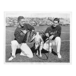 1936 Navy Goat Mascot Football Photograph For Sale