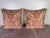 Pair of Fortuny Textile Pillows With Classical Urn Motif For Sale - Image 4 of 9