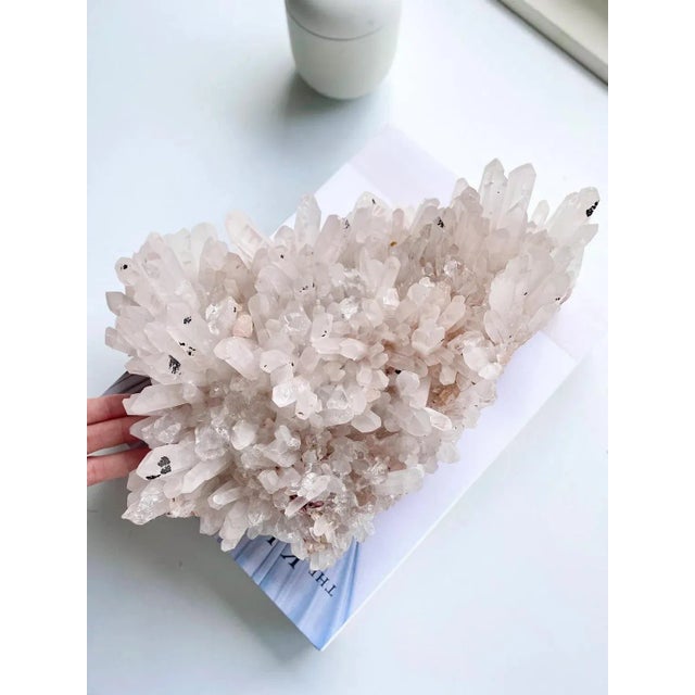 Large Dendritic Crystal Cluster Samadhi Himalayan Quartz Slight Lavender For Sale - Image 11 of 11