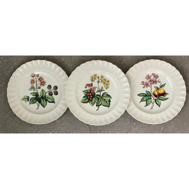Vintage English Copeland Spode ‘Glendale’ Scalloped Plates in Chelsea Wicker, Botanical Centers With Varied Hand Colored Fruit & Floral- Set of 3 For Sale - Image 12 of 12