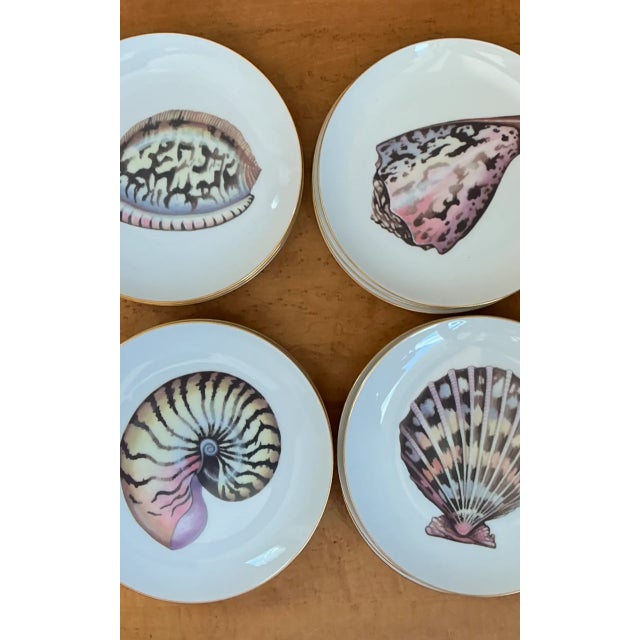 Vintage Coastal Fitz and Floyd Shell Motif Ceramic Plates - Set of Twelve For Sale - Image 9 of 12