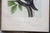 Figurative John James Audubon - Octavo Lithograph From Audubon's the Quadrupeds of North America - Circa 1849 and 1854 - Set of 22 For Sale - Image 3 of 18
