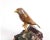 Amethyst Late 20th Century 14k Gold Mounted Agate Bird on Carved Amethyst Rock For Sale - Image 8 of 13