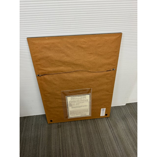 Circa 1860 West Coast of South America Original Print + Certificate of Authenticity For Sale - Image 4 of 12