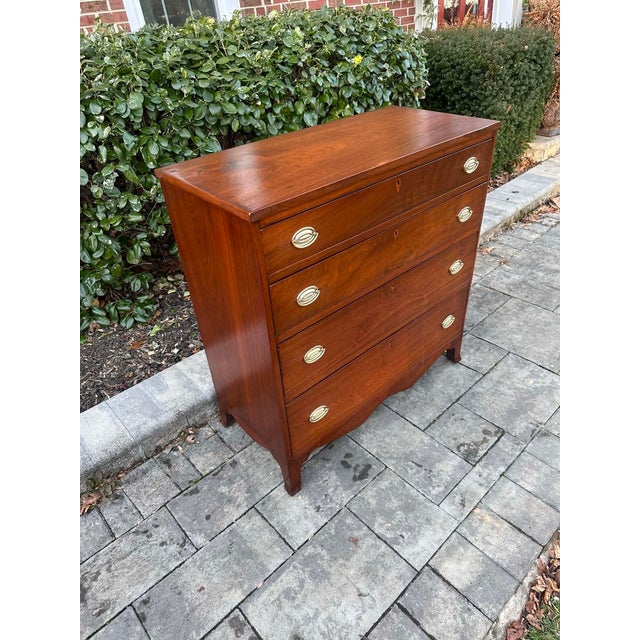 Traditional Federal Period Kentucky Walnut Chest of Drawers, Circa 1810–1840 For Sale - Image 3 of 9