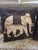Late 20th Century Jim Thompson Silk Elephant Pillows - A Pair For Sale - Image 5 of 9