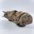 Early 20th Century Fon Vodun Boccio Fetish Encrusted Statue Togo For Sale In Denver - Image 6 of 7