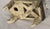 Urmas Puhkan, Abstract Object (Black Hole), 2002, Ceramic and Porcelain For Sale - Image 12 of 15