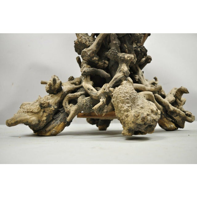 Vintage Driftwood Root Base Drift Wood Pedestal Naturalistic Accent