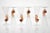 Amber Murano Glass and Pulegoso Nautilus Flutes from Cenedese, 1950s, Set of 6 For Sale - Image 10 of 18