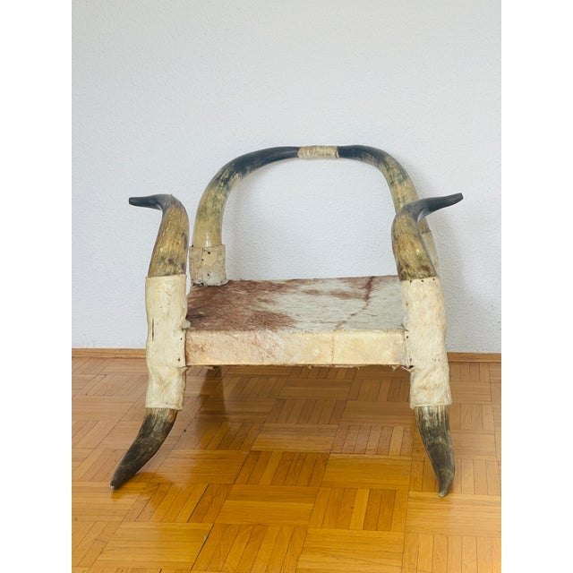 Mid 20th Century Texas Horn Cowhide Low Chair For Sale - Image 4 of 8